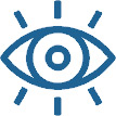 Vision icon